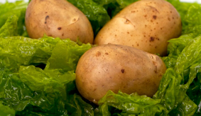 aardappel-in-zeewier