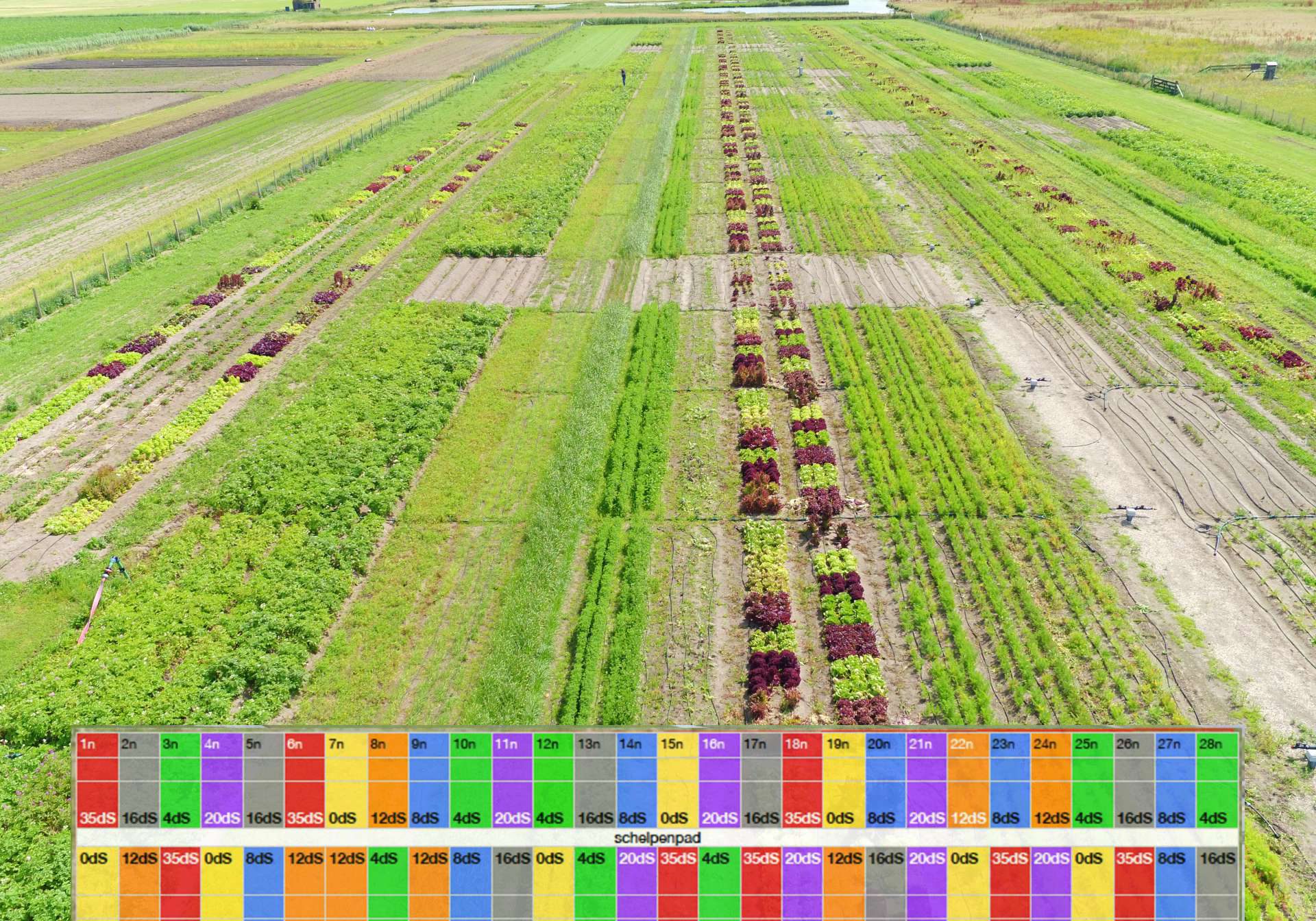 proefveld-with-schematics-landscape